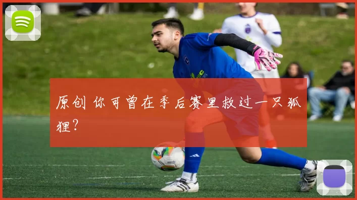 原创 你可曾在季后赛里救过一只狐狸？