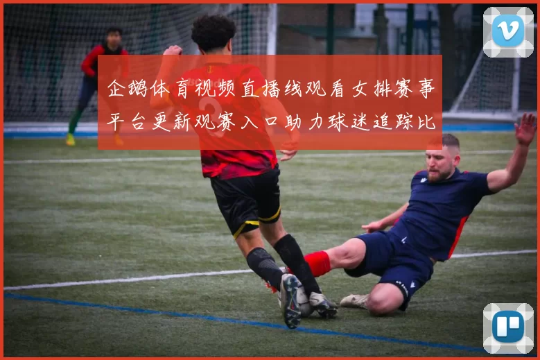企鹅体育视频直播线观看女排赛事平台更新观赛入口助力球迷追踪比赛进程