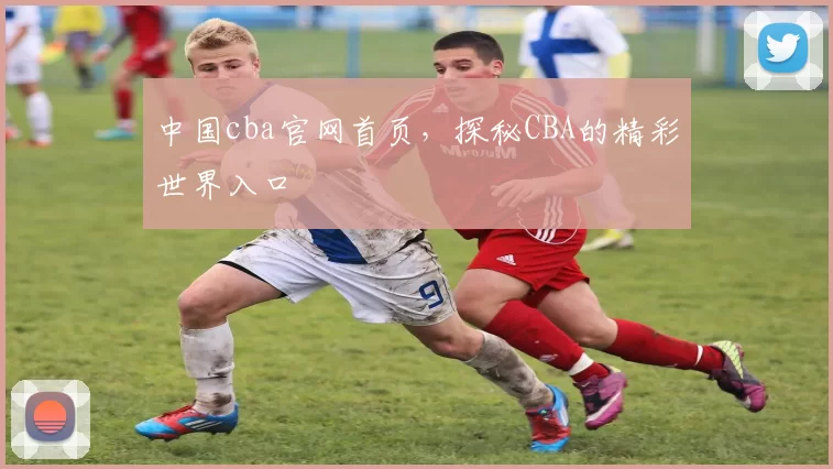 中国cba官网首页，探秘CBA的精彩世界入口