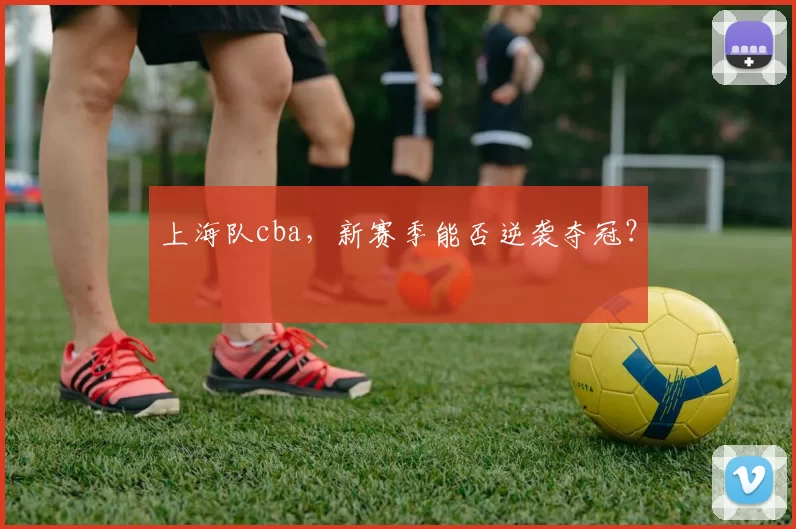 上海队cba，新赛季能否逆袭夺冠？