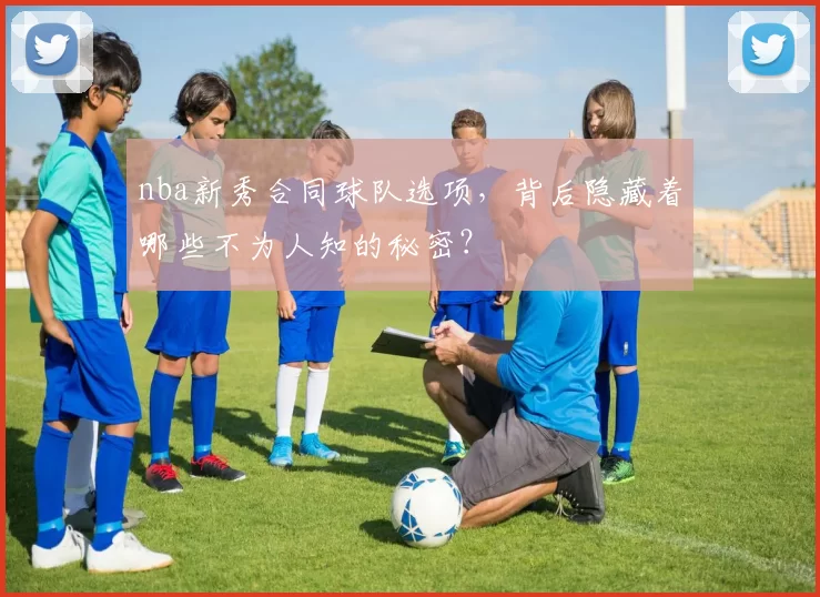 nba新秀合同球队选项,背后隐藏着哪些不为人知的秘密?