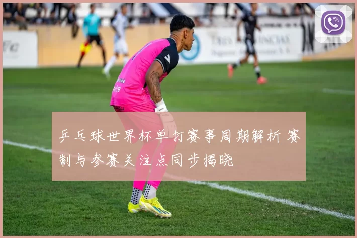 乒乓球世界杯单打赛事周期解析 赛制与参赛关注点同步揭晓