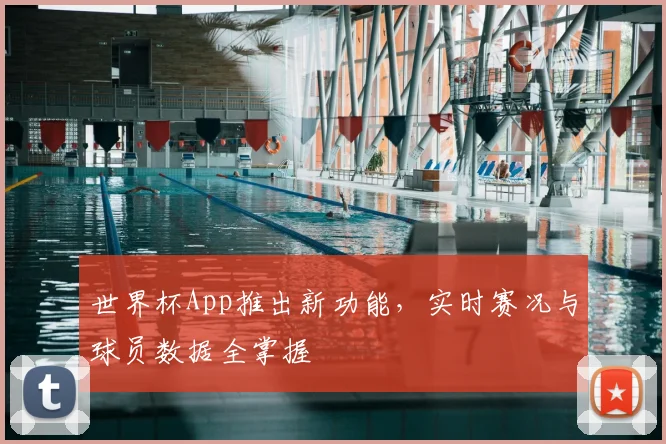 世界杯App推出新功能,实时赛况与球员数据全掌握